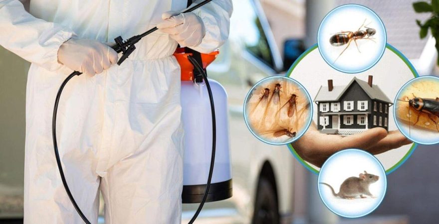 Çine Böcek İlaçlama