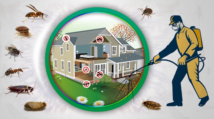 Çine Böcek İlaçlama